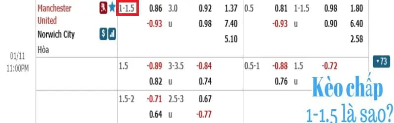 Kèo 1 trái 1 trái rưỡi là gì?