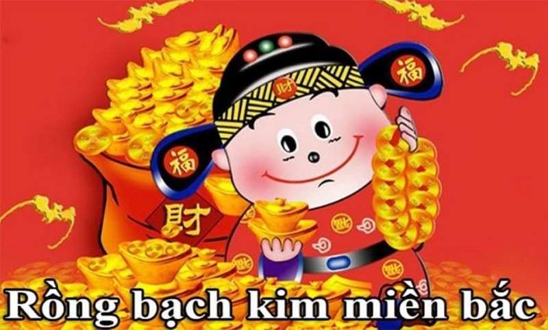 Soi cầu Rồng Bạch Kim hôm nay