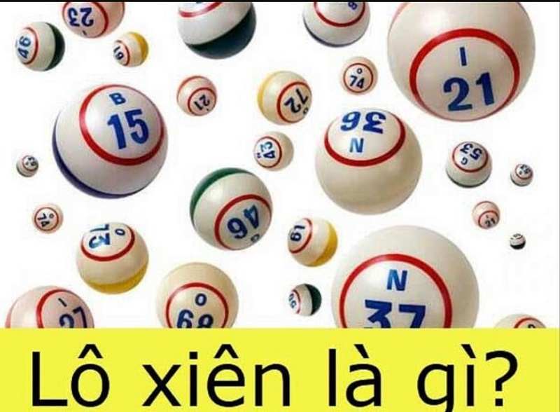 Lô xiên là gì?