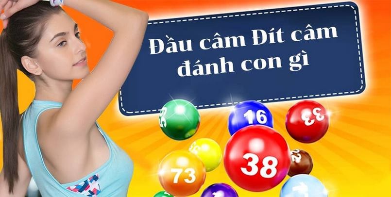 Đầu đít câm đánh lô gì cần tiến hành soi cầu một cách chi tiết