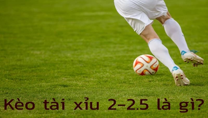 Tổng Quát Về Kèo Tài Xỉu 2-2.5 Là Gì?