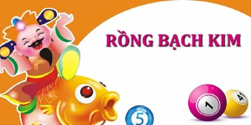 Rồng bạch kim là gì? 