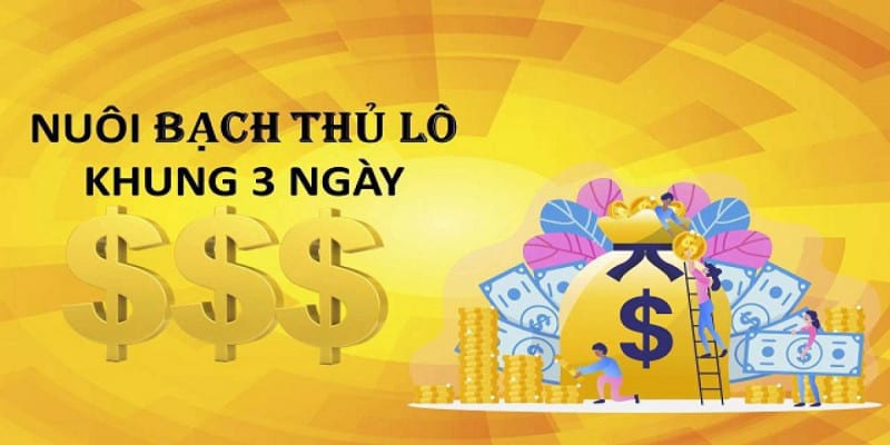 Nuôi lô khung rồng bạch kim 3 ngày