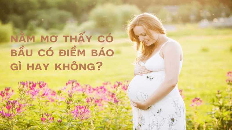 Những con số nên đánh khi gặp giấc mơ thấy có bầu