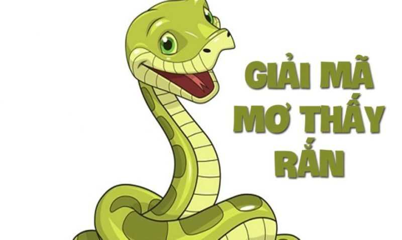 Giải đáp thắc mắc nằm mơ thấy rắn cắn