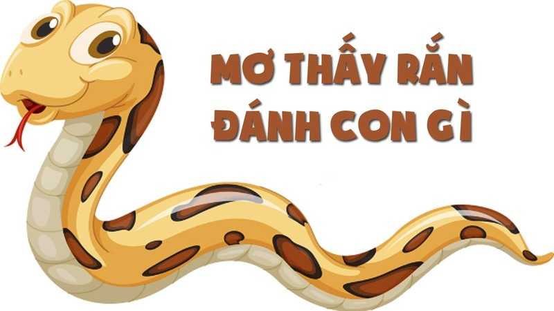 Nằm mơ thấy rắn cắn-may mắn hay sóng gió