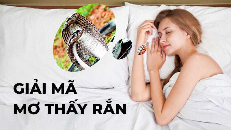 Nằm mơ thấy rắn cắn đánh con gì may mắn