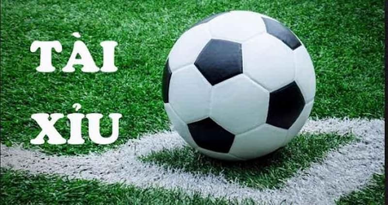 Cách chơi cá cược tài xỉu 2.75 nghĩa là sao?